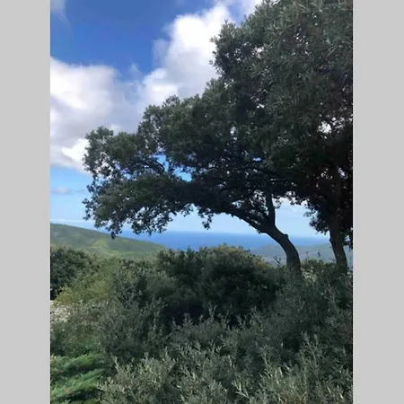 Maison De Village Dans Le Cap Corse